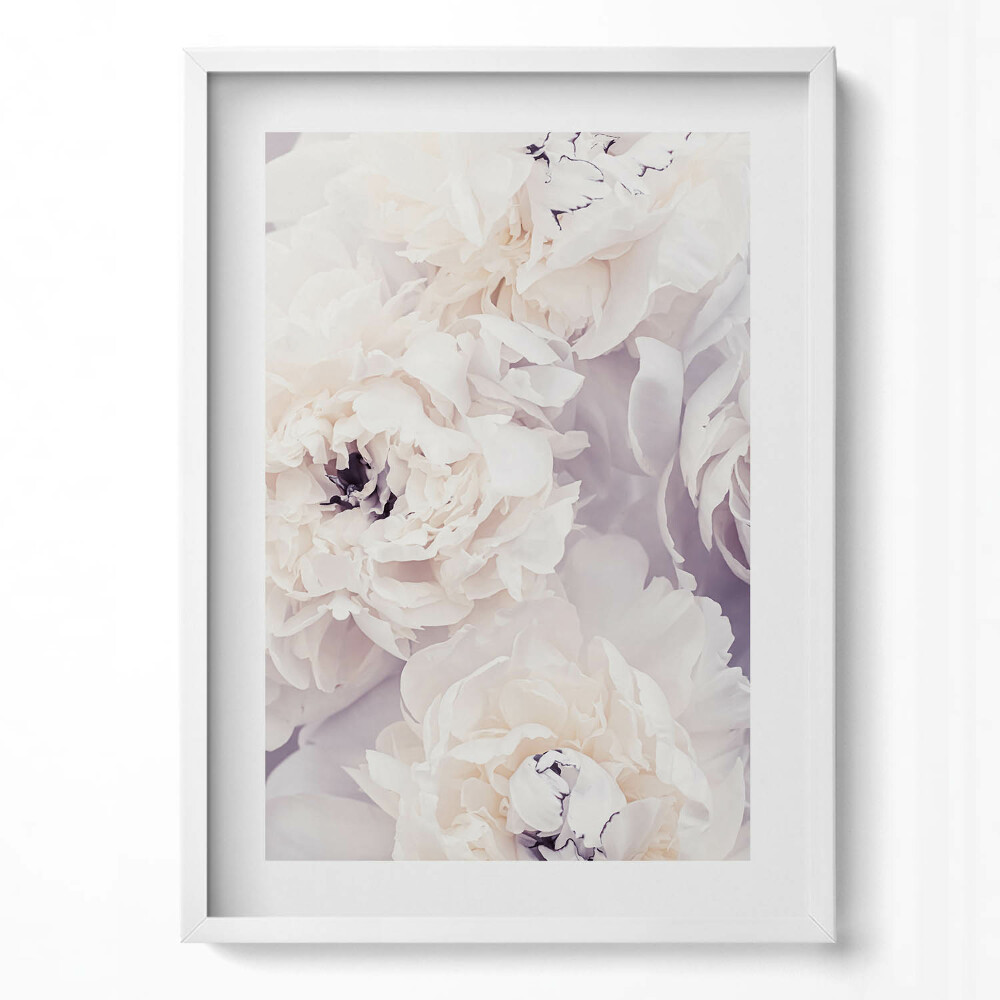 Tablou living cu rama modern Flori delicate de bujor