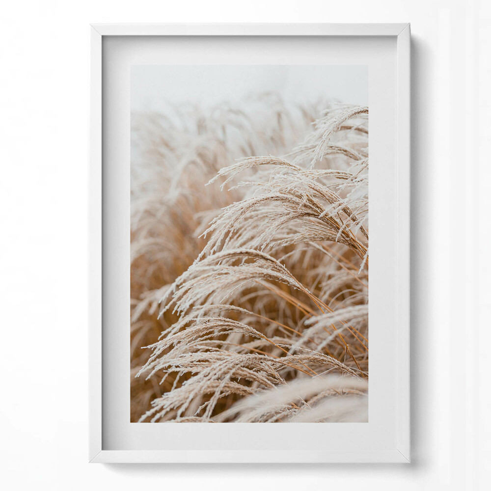 Tablou rama modern Ierburi delicate boho