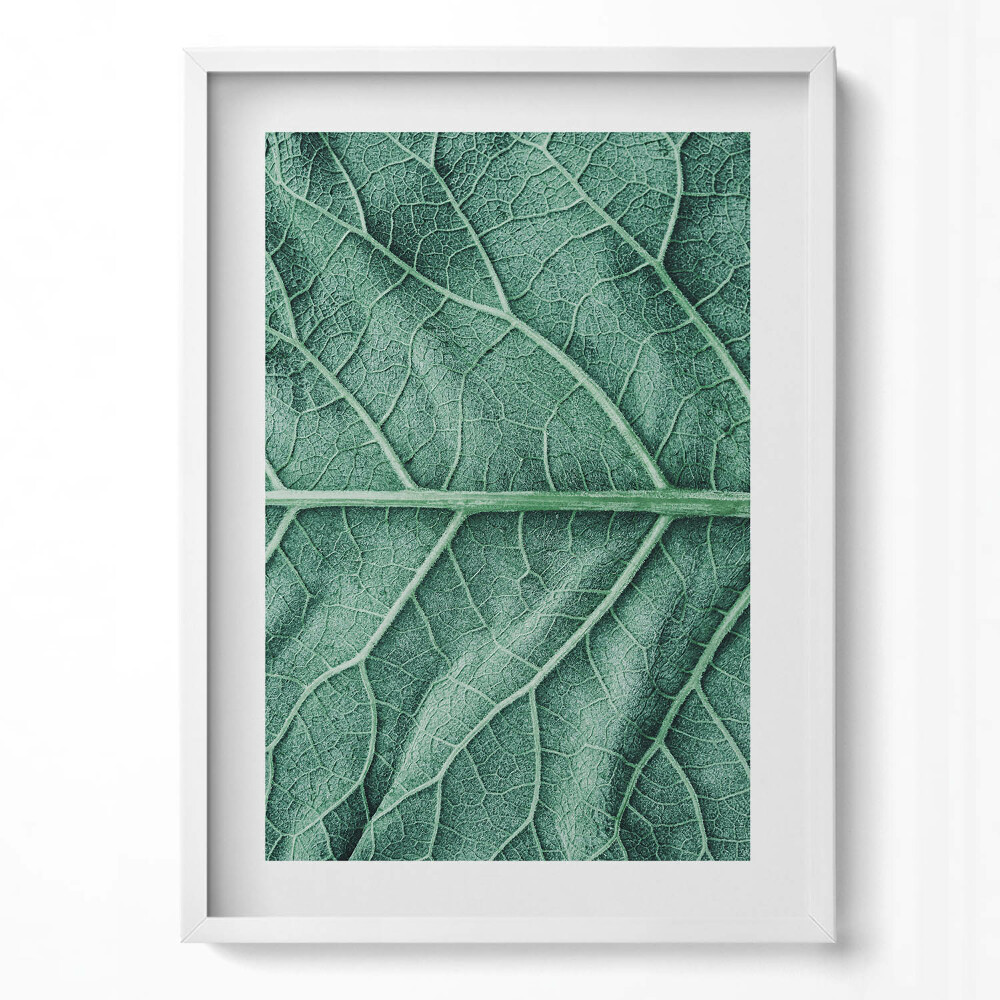 Tablou living cu rama modern Prim-plan al nervurilor frunzelor