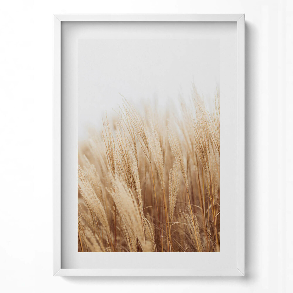 Tablou living cu rama modern Un peisaj de ierburi delicate în stil boho