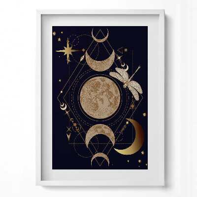 Tablou rama modern O compoziție magică de spațiu și libelulă