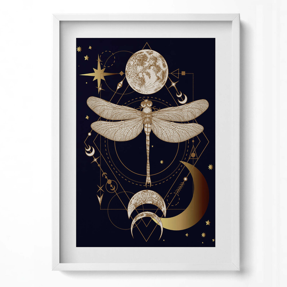 Tablou living cu rama modern O compoziție magică de spațiu și libelulă