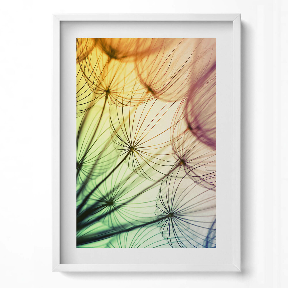 Tablou rama modern Polen delicat de păpădie