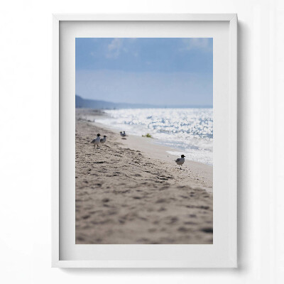 Tablou living cu rama modern Valurile mării și o pasăre pe plajă