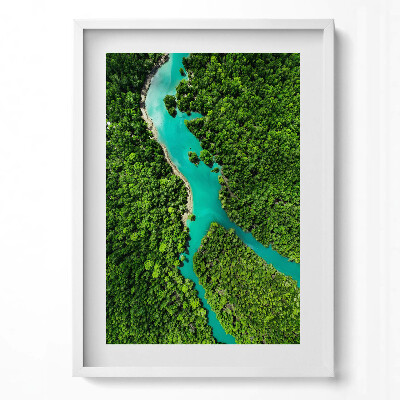 Tablou living cu rama modern Vedere aeriană a unui râu în pădurile tropicale