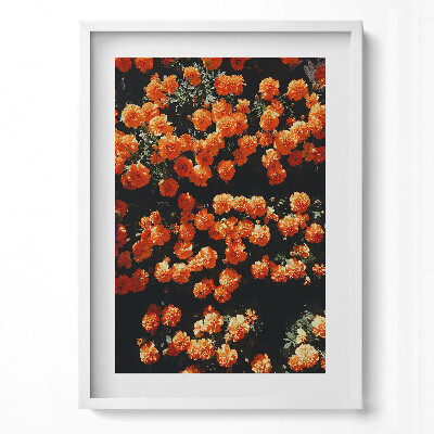 Tablou rama modern Flori portocalii