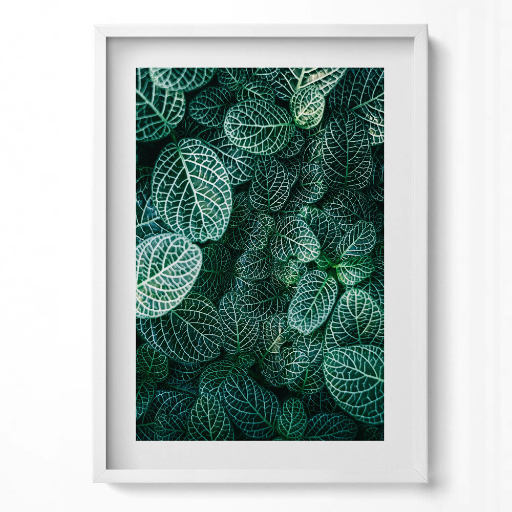 Tablou living cu rama modern Frunze verzi sălbatice