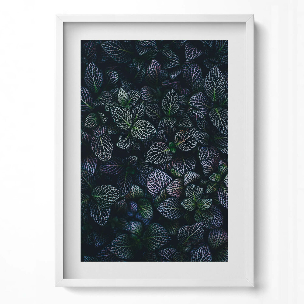 Tablou rama modern Frunze sălbatice întunecate