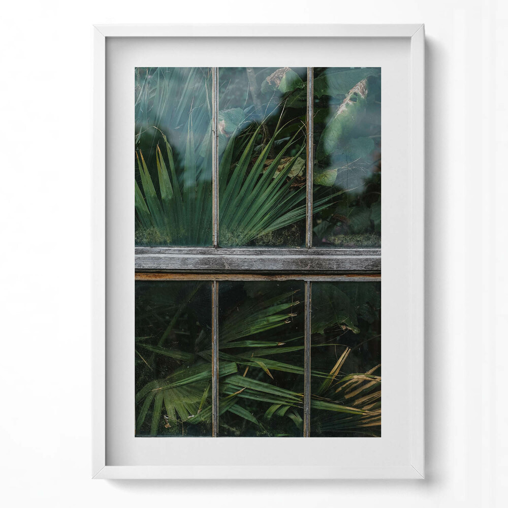 Tablou rama modern Fereastra de seră și plantele