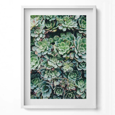 Tablou living cu rama modern Plante suculente verzi