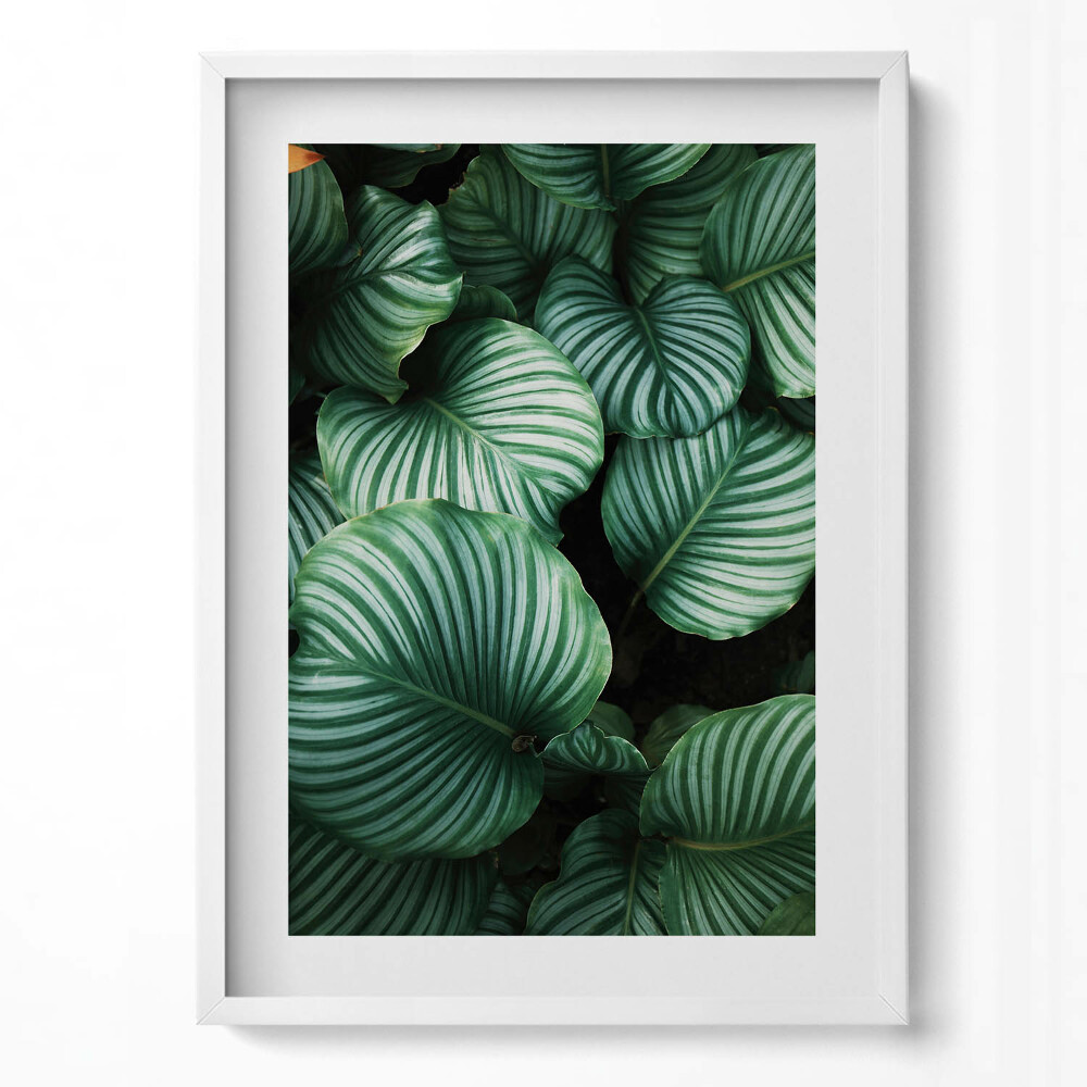 Tablou living cu rama modern Frunze mari și verzi