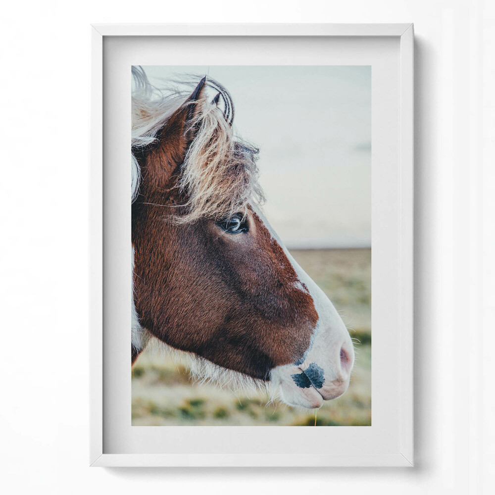 Tablou rama modern Prim-plan al unui cal maro cu coamă