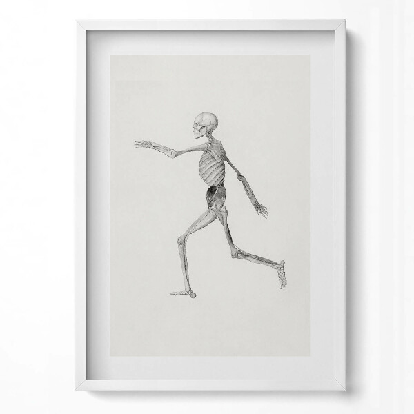 Tablou living cu rama modern Un desen al unui schelet