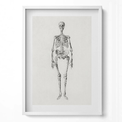 Tablou rama modern Schiță ilustrativă a unui schelet