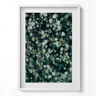 Tablou rama modern Frunzele mici ale plantei