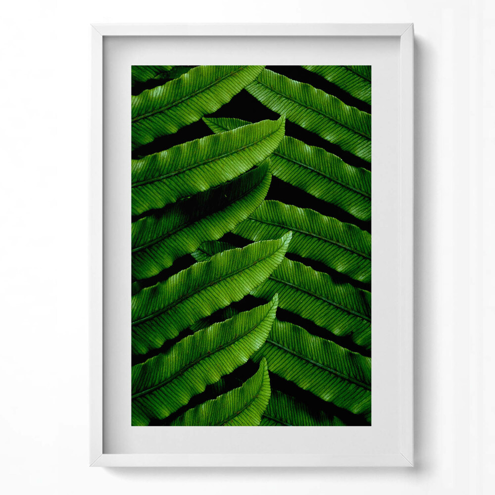 Tablou rama modern Frunze verzi de aproape