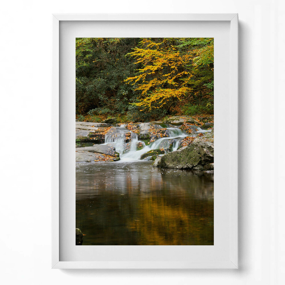 Tablou rama modern Peisaj verde al unui pârâu de pădure