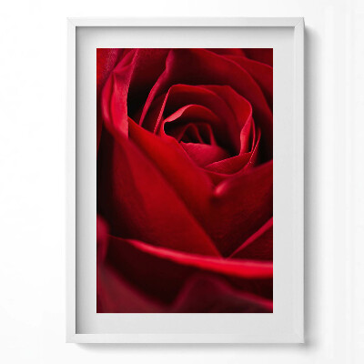 Tablou living cu rama modern Prim-plan cu petale de trandafir roșii