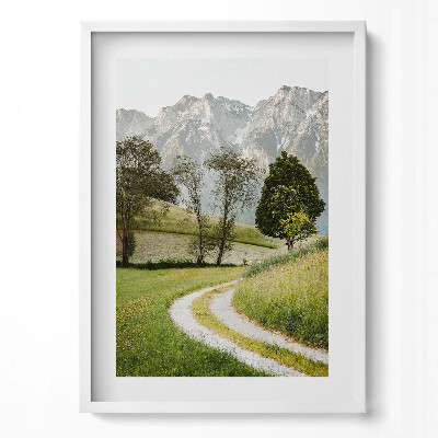 Tablou living cu rama modern Un câine de câmp în munți