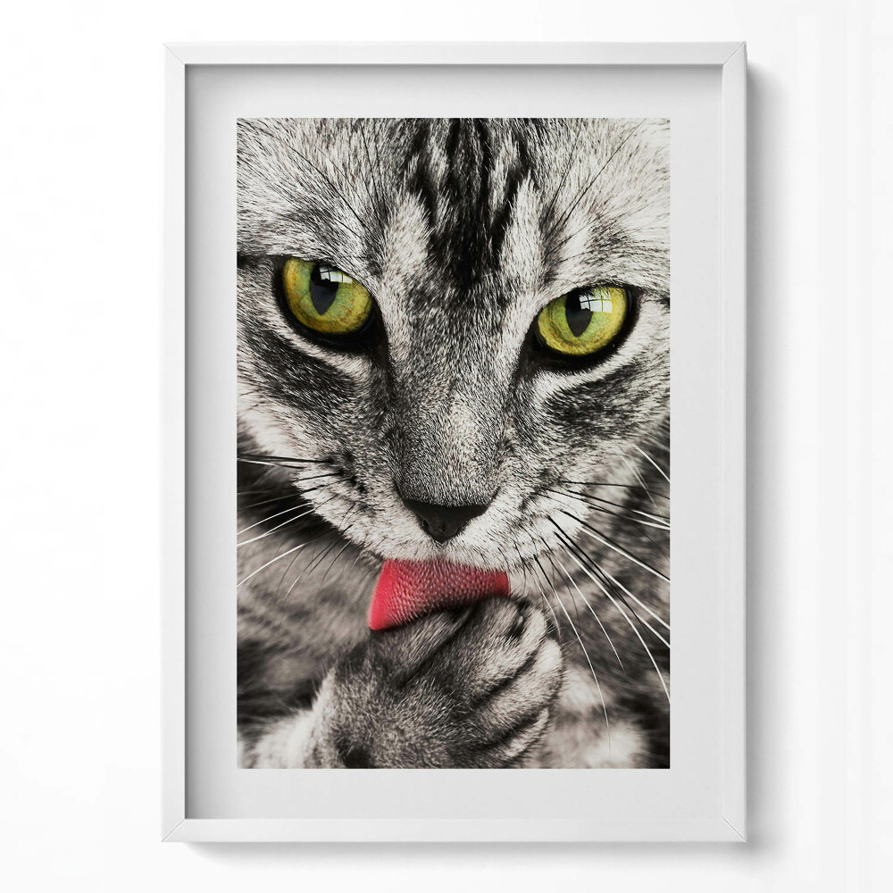 Tablou living cu rama modern Ochi de pisică gri