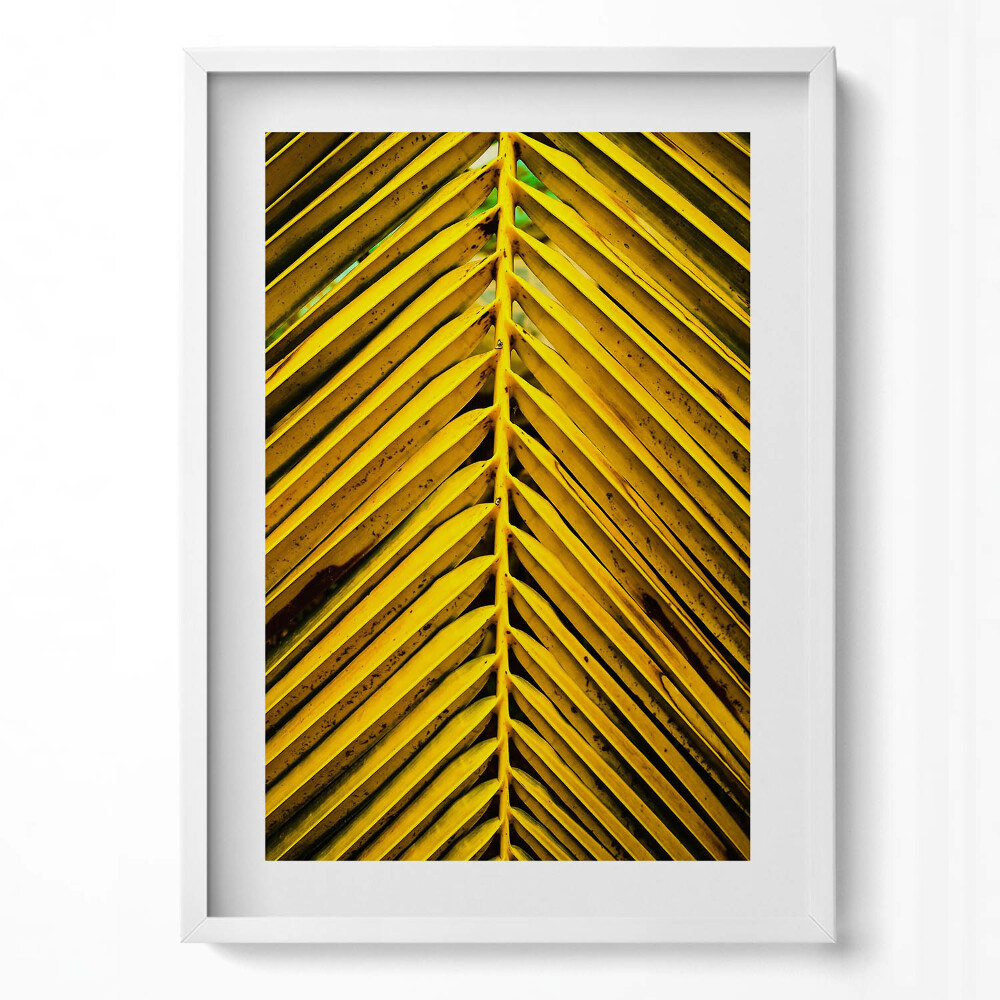 Tablou rama modern Frunzele aurii ale plantei