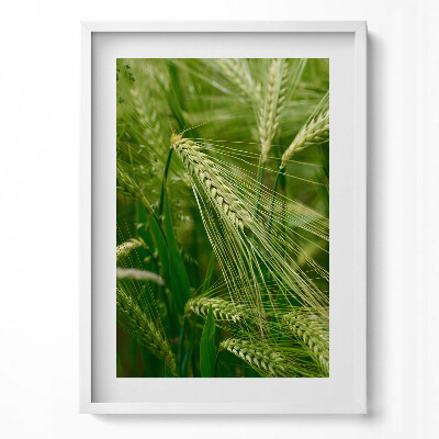 Tablou living cu rama modern Urechi de iarbă vara