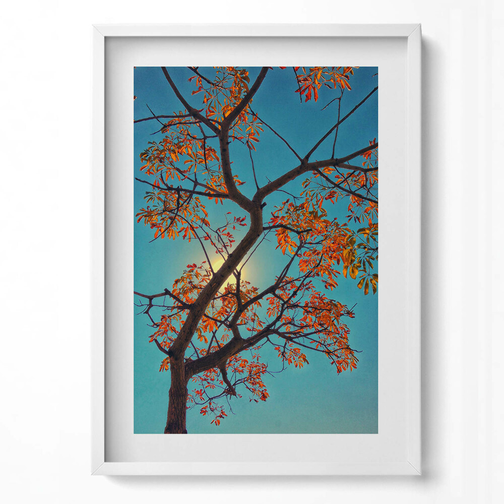 Tablou living cu rama modern Copac și soare de toamnă