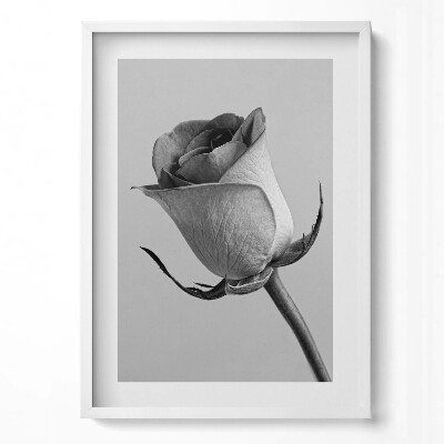 Tablou rama modern Floare mică de trandafir gri