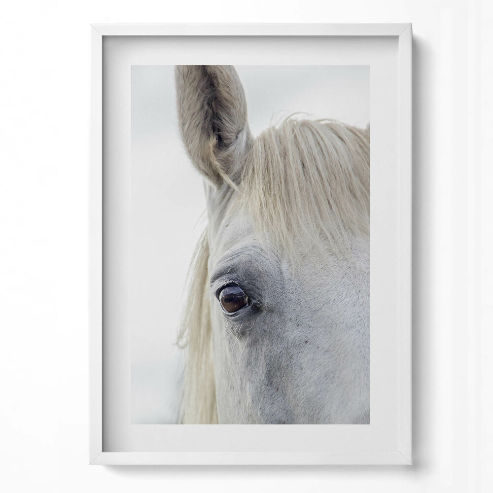 Tablou rama modern Cap de cal alb