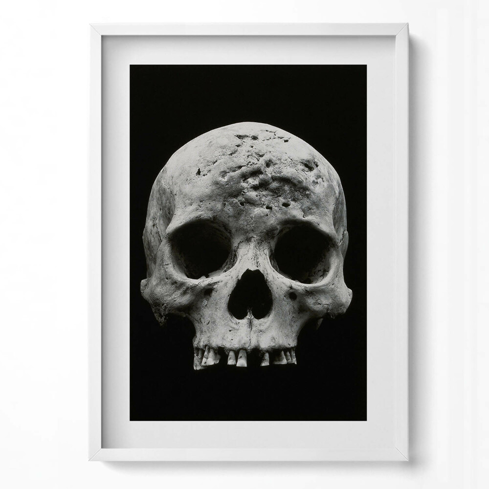 Tablou living cu rama modern Schelet de craniu uman