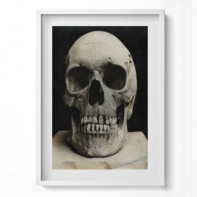 Tablou living cu rama modern Schelet de craniu uman