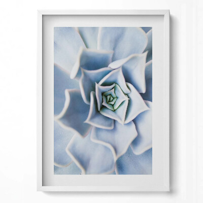 Tablou living cu rama modern Floare de plantă