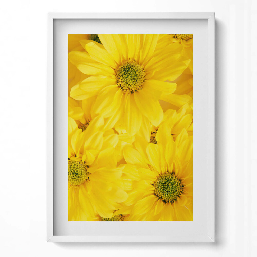 Tablou living cu rama modern Petale de flori