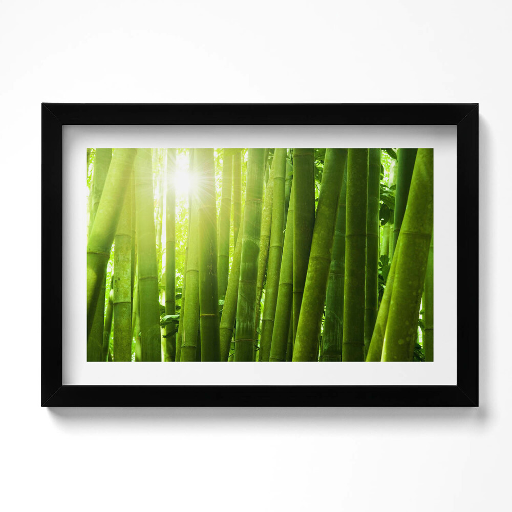 Tablou living cu rama original Tulpini verzi de bambus