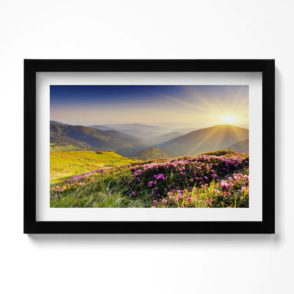 Tablou living cu rama original Munți și o pajiște cu flori