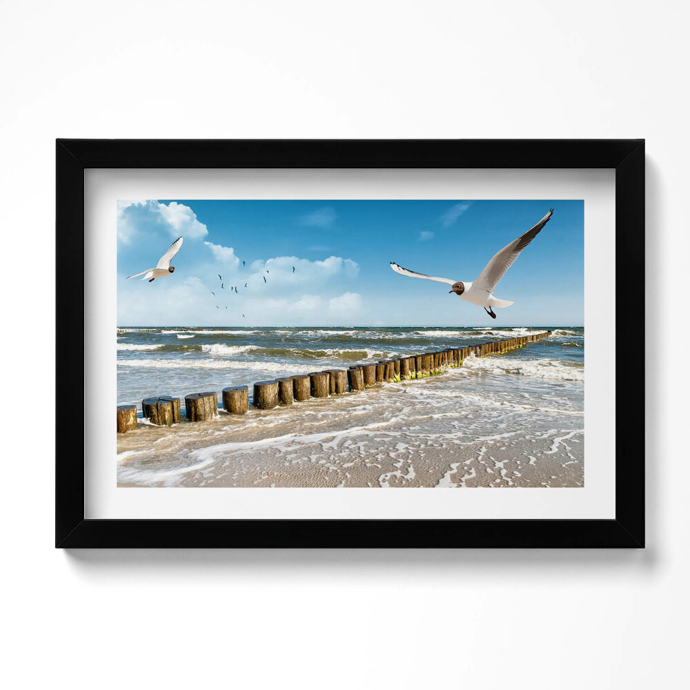 Tablou rama original O pasăre peste mare