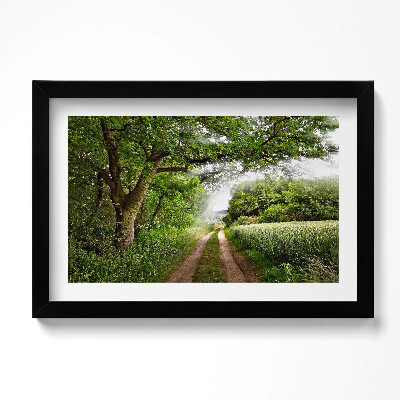 Tablou living cu rama original Cale, copaci și raze de soare