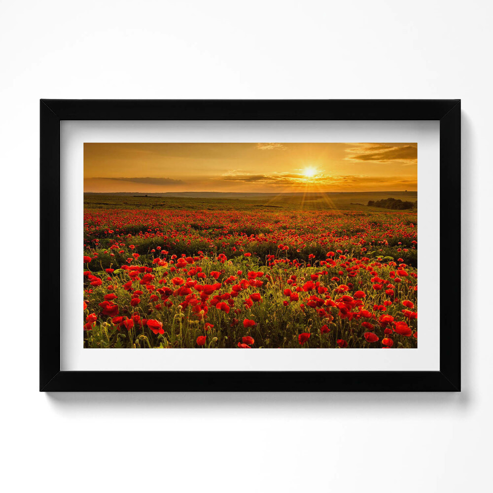 Tablou living cu rama original Peisaj al unei pajiști cu flori de mac