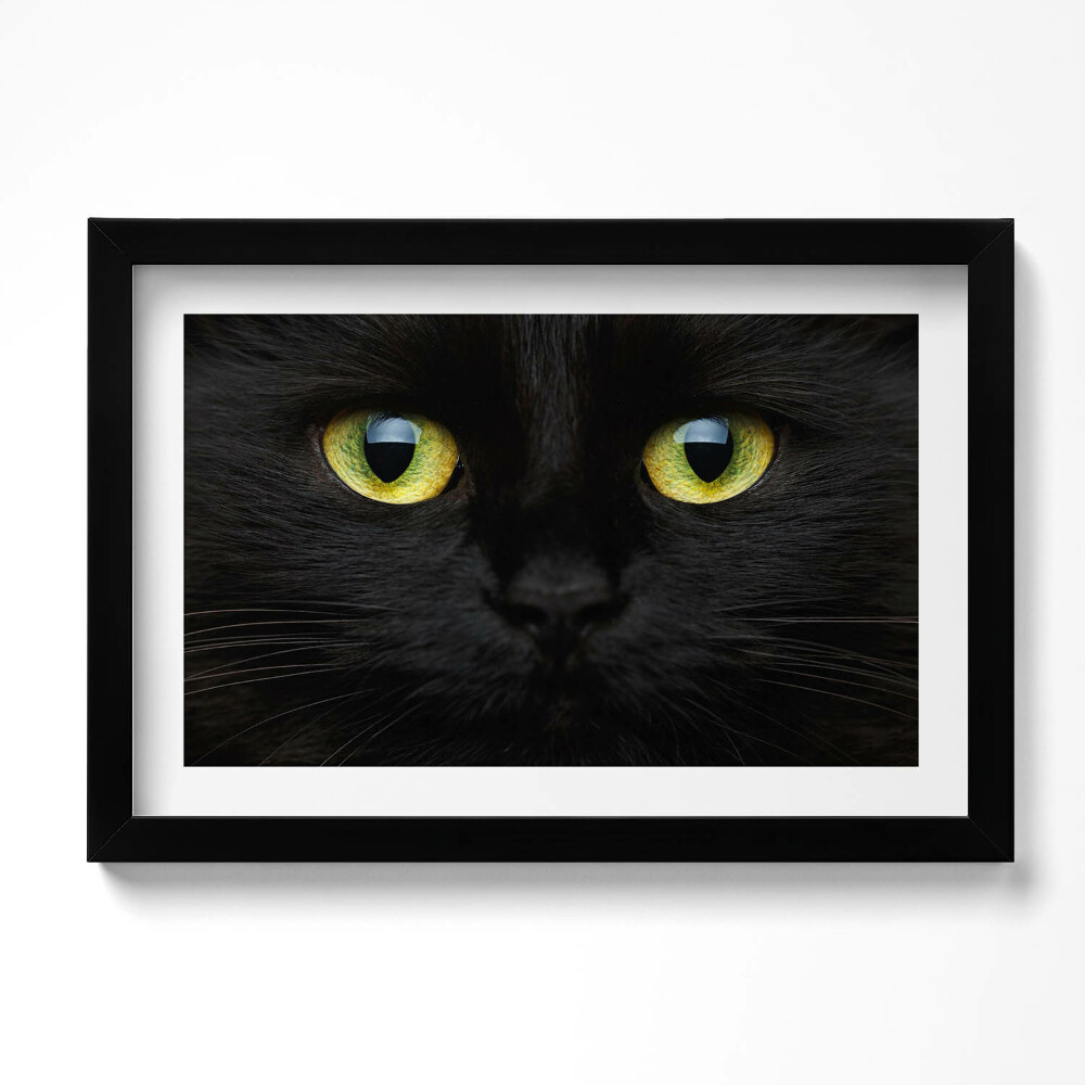 Tablou rama original Ochi de pisică animale