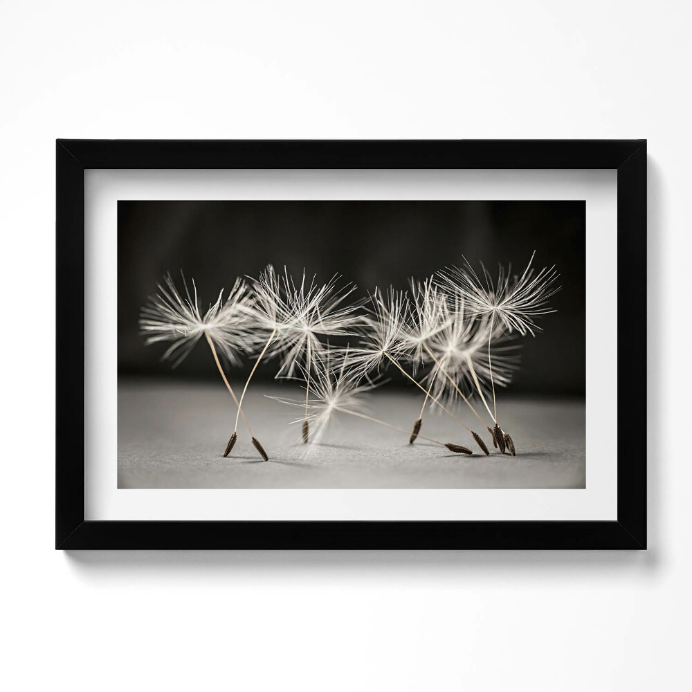 Tablou rama original Polen delicat de păpădie