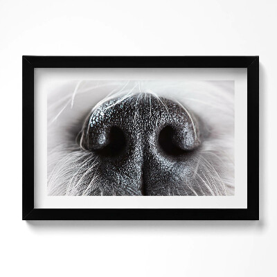 Tablou rama original Prim-plan al nasului unui animal