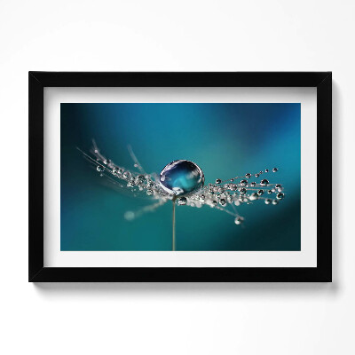 Tablou living cu rama original O picătură de rouă pe o păpădie