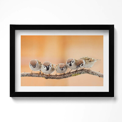 Tablou rama original Păsări pe o ramură