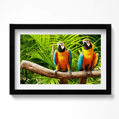 Tablou living cu rama original Doi papagali macaw colorați în junglă