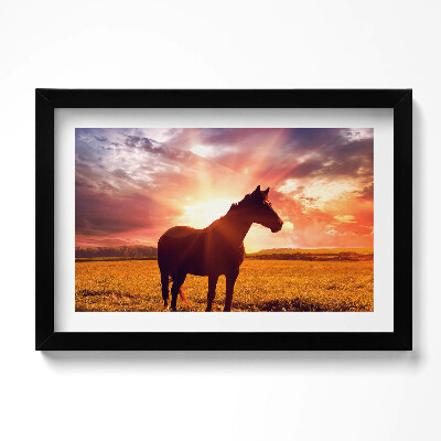 Tablou rama original Un cal pe un câmp la apus