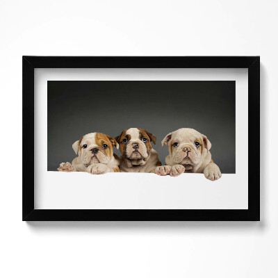 Tablou rama original Trei căței de câine