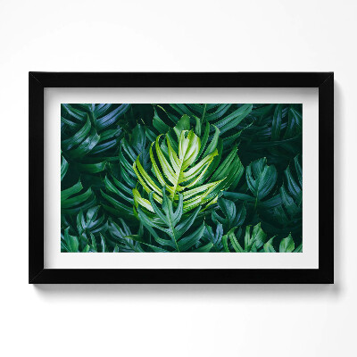 Tablou living cu rama original Natură tropicală - frunze de monstera