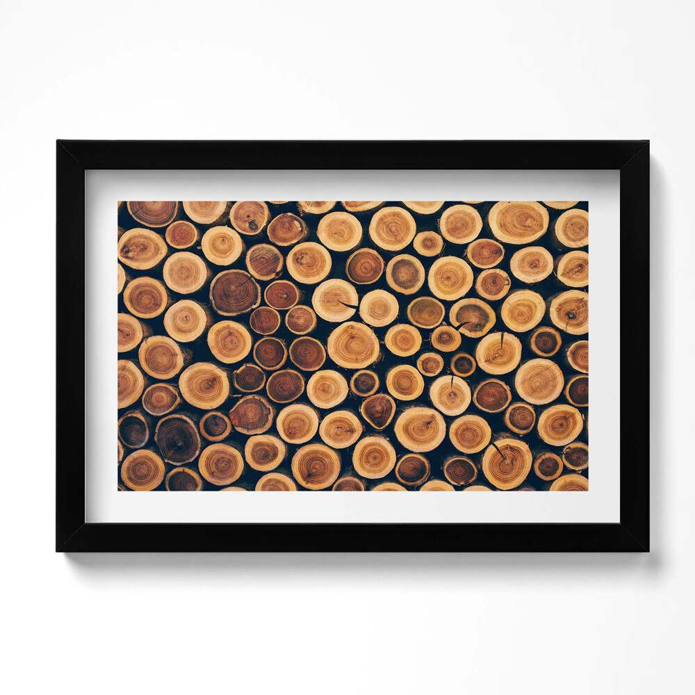 Tablou living cu rama original Lemn, cioturi de copaci