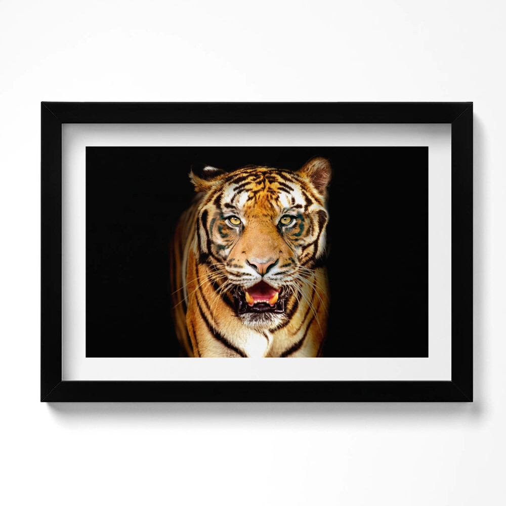 Tablou living cu rama original O pisică tigru sălbatică distinctivă