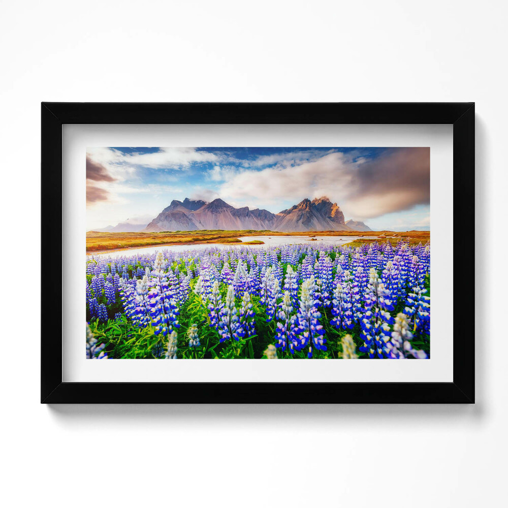 Tablou living cu rama original Flori magice de lupin